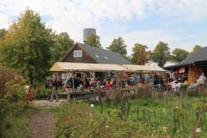 Oogstmarkt 2015