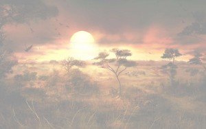 backgroud africa